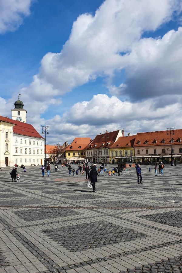 Studio Bufnita - The Owl'S Nest Sibiu Exterior photo